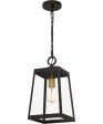 Amberly Grove Large 1-light Outdoor Pendant Light Western Bronze Fashion