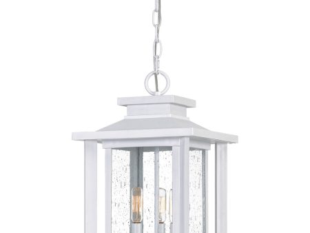 Wakefield 3-light Outdoor Pendant Light  Coastal Armour White Lustre Online Sale