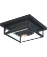 Westover 2-light Flush Mount Earth Black Online Hot Sale