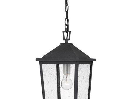 Stoneleigh Large 1-light Outdoor Pendant Light  Coastal Armour Aluminum Mottled Black Online Sale