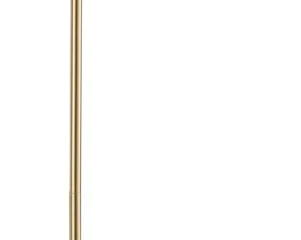 51 H Dessau LED Floor Lamp   Brass-Matte Cheap