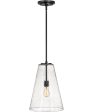 Vance 1-Light Medium Pendant in Satin Black Fashion