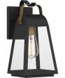 O Leary Medium 1-light Outdoor Wall Light  Coastal Armour Steel Earth Black Discount