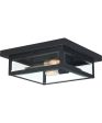 Westover Medium 2-light Outdoor Ceiling Light Earth Black on Sale