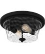 Acacia 2-light Flush Mount Matte Black Online Hot Sale