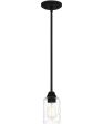 Acacia Small 1-light Mini Pendant Matte Black Fashion