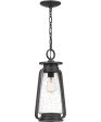 Sutton Large 1-light Outdoor Pendant Light Speckled Black Sale