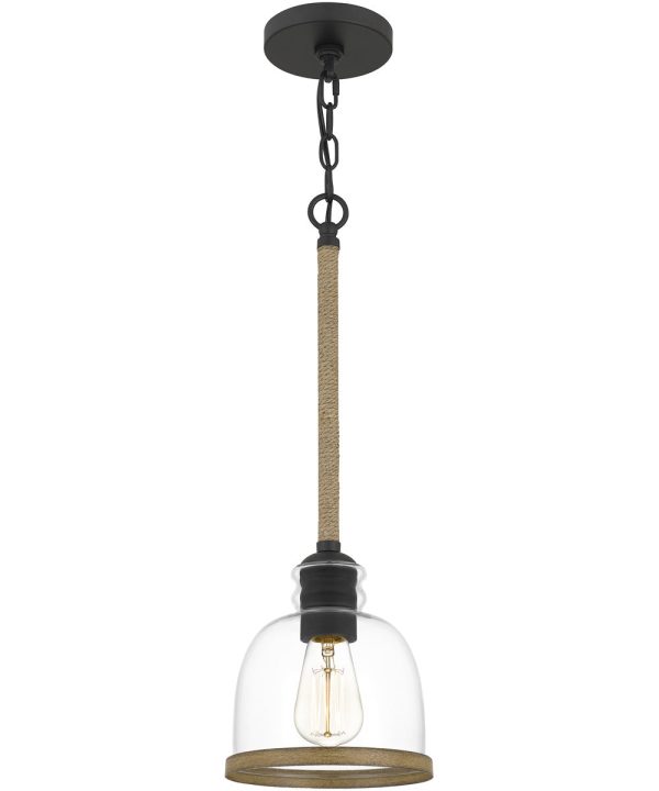 Wagner Small 1-light Mini Pendant Matte Black on Sale