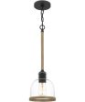 Wagner Small 1-light Mini Pendant Matte Black on Sale