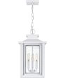 Wakefield 3-light Outdoor Pendant Light  Coastal Armour White Lustre Online Sale