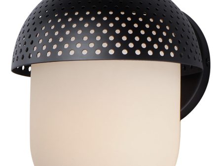 Perf 1-Light Outdoor Wall Sconce Black   Gold Supply