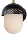 Perf 1-Light Outdoor Wall Sconce Black   Gold Supply