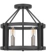 Victor 4-light Semi Flush Mount Mottled Black Online