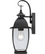 Bain Small 1-light Outdoor Wall Light Mystic Black For Discount