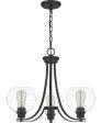 Pruitt 3-light Chandelier Matte Black For Discount