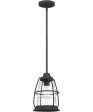 Admiral Small 1-light Mini Pendant Mottled Black Supply