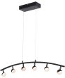 Torshon 6-Light Led 6-Light Pendant Lamp Matt Black Acrylic Fashion