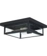 Westover 2-light Flush Mount Earth Black Online Hot Sale