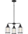 Ludlow 3-light Chandelier Earth Black Sale