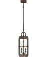 Ward Large 2-light Outdoor Pendant Light Gilded Bronze Discount