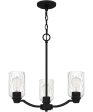 Acacia 3-light Chandelier Matte Black Online