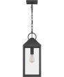 Thorpe Large 1-light Outdoor Pendant Light  Coastal Armour Aluminum Mottled Black Online Sale