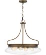 Tucker 4-light Pendant French Bronze Sale