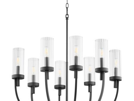 Ladin 8-light Chandelier Textured Black w  Clear Glass For Cheap