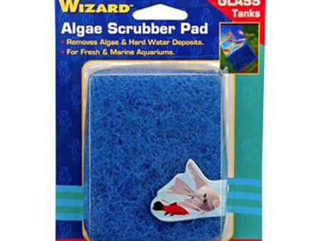 Wizard Algae Scrubber Pad for Glass Aquariums 3 L x 4 W - 1 count by Penn Plax For Sale